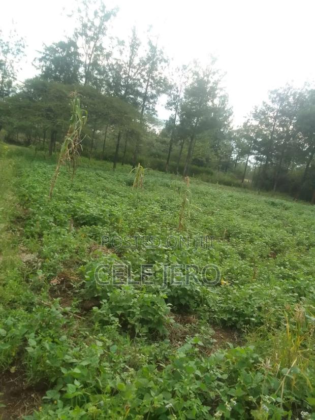 Plot for Sale - main view