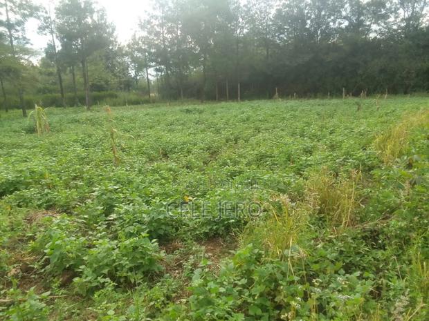 Plot for Sale - thumbnail 2