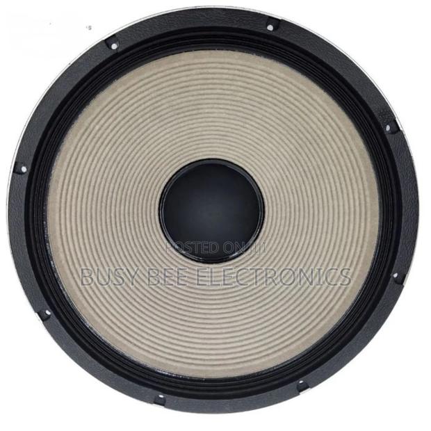 Yd480-19 JBN Bass Speaker