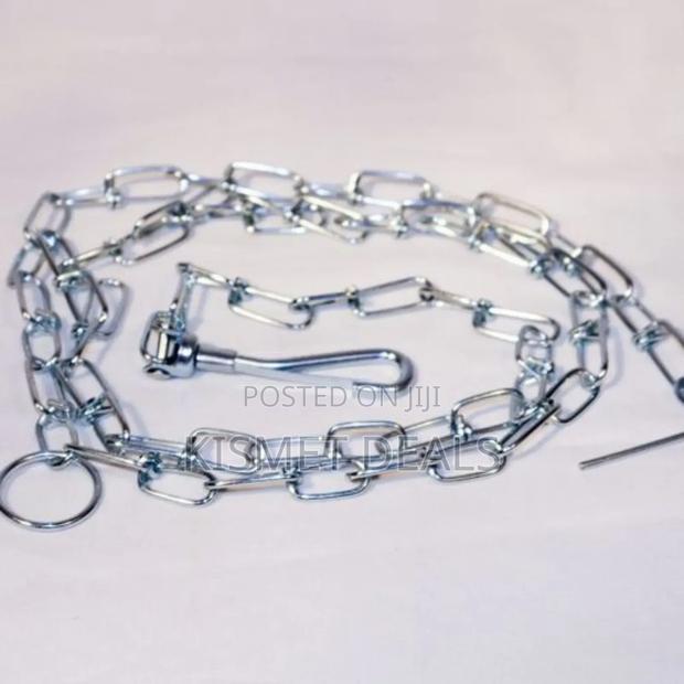 Stainless Steel Metal Pet Walking Leash Dog Chains
