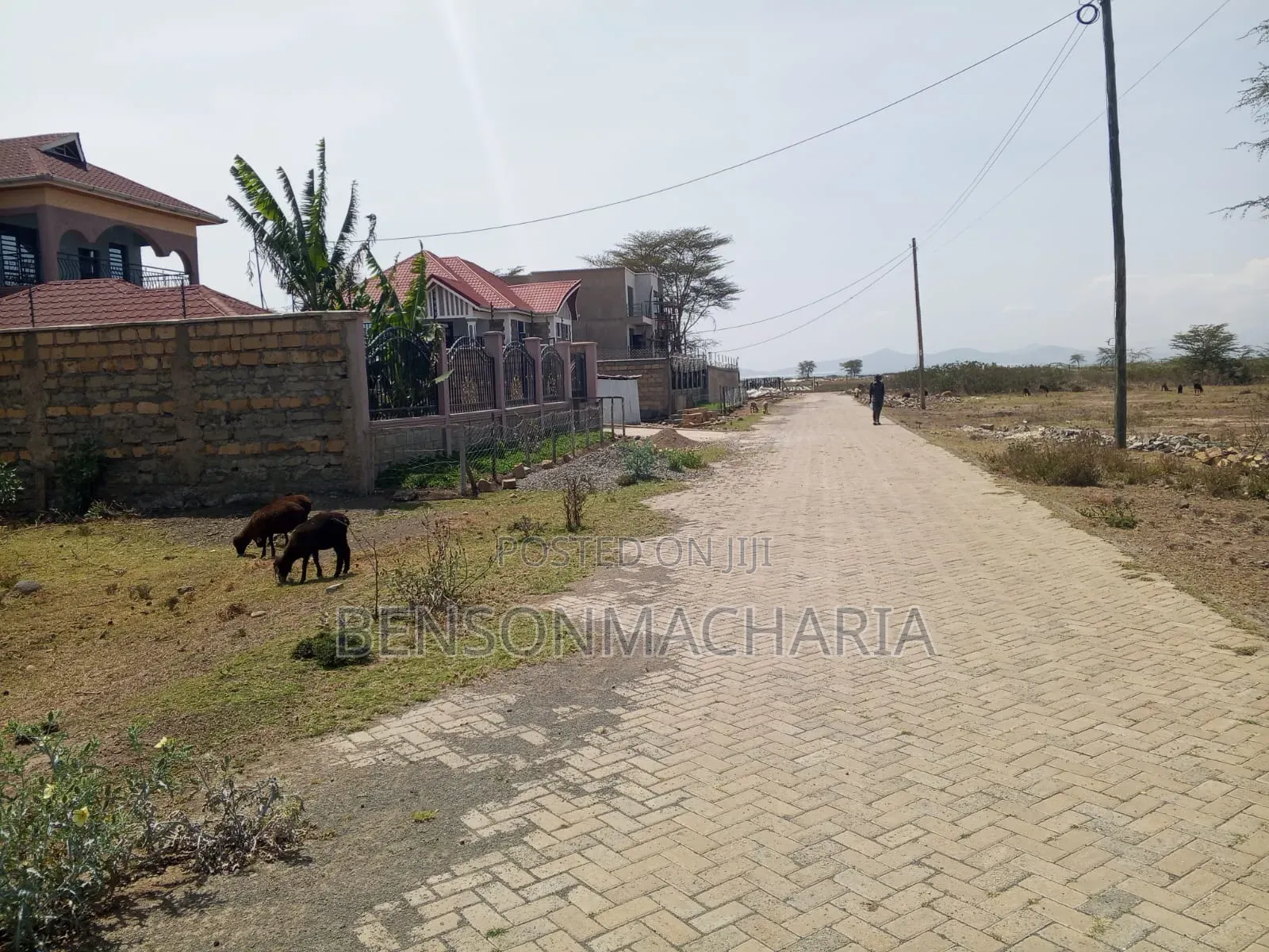 Naivasha Prime Plot