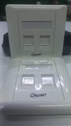 Giganet Double Faceplates ( 2port)