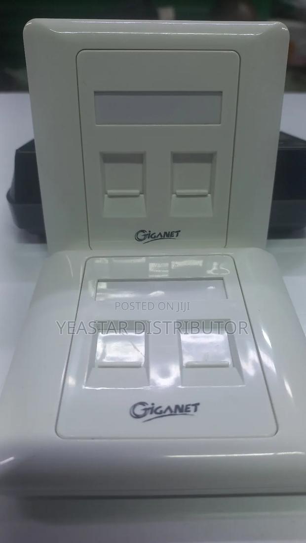 Giganet Double Faceplates ( 2port)