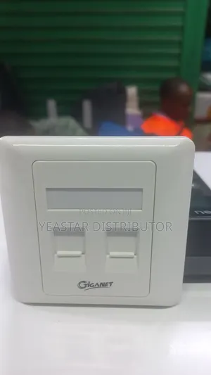 Giganet Double Faceplates ( 2port)