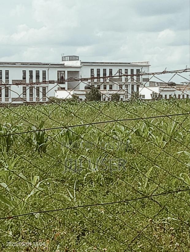 1/8 Plot For Sale Next To Olerai School, Kiserian. - thumbnail 5