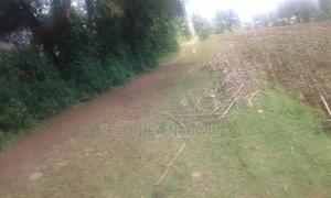 Land for Commercial Use - thumbnail 2