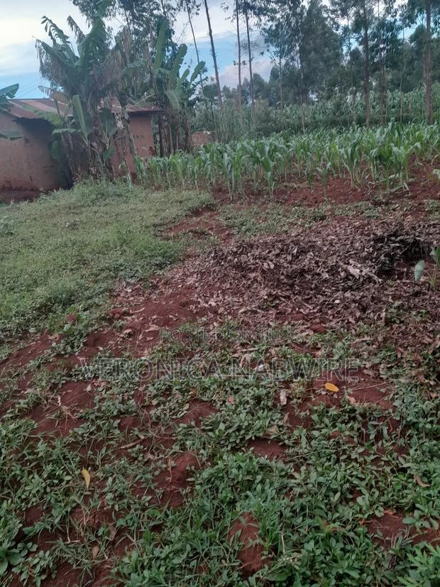 Land for Commercial Use - thumbnail 4