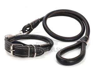 6-12 months Female Mixed Breed Airedale Terrier - main view