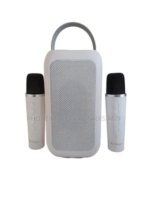 Bt Speaker With 2 Microphone