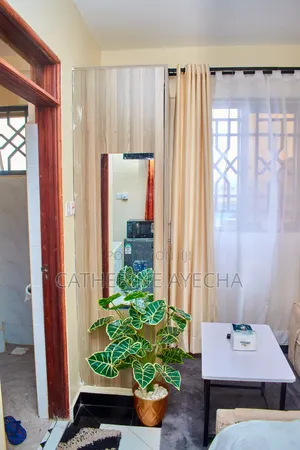 Voi Air Bnb Luxury Apartments