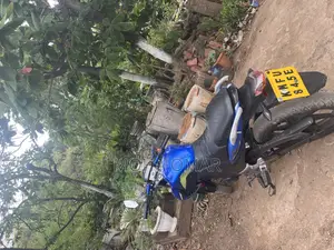 Haojin Evo II 2023 Blue
