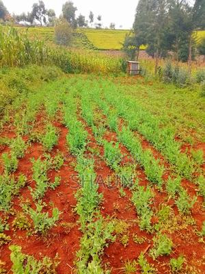 Land for Sale - thumbnail 2