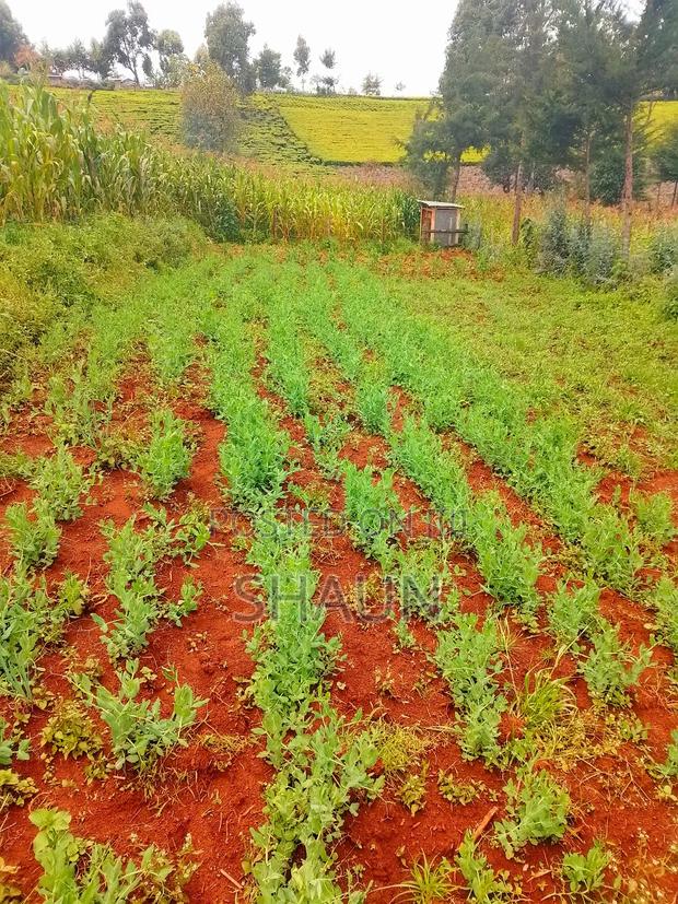 Land for Sale - main view