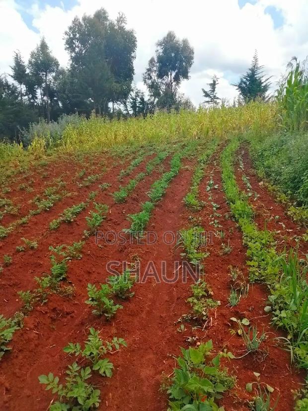 Land for Sale - thumbnail 3