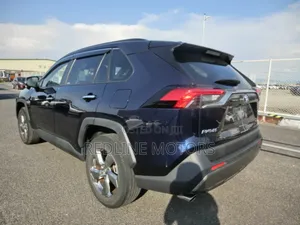Toyota RAV4 Limited AWD 2019 Blue