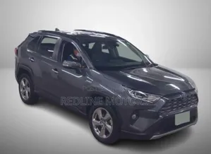 Toyota RAV4 Hybrid 2019 Gray