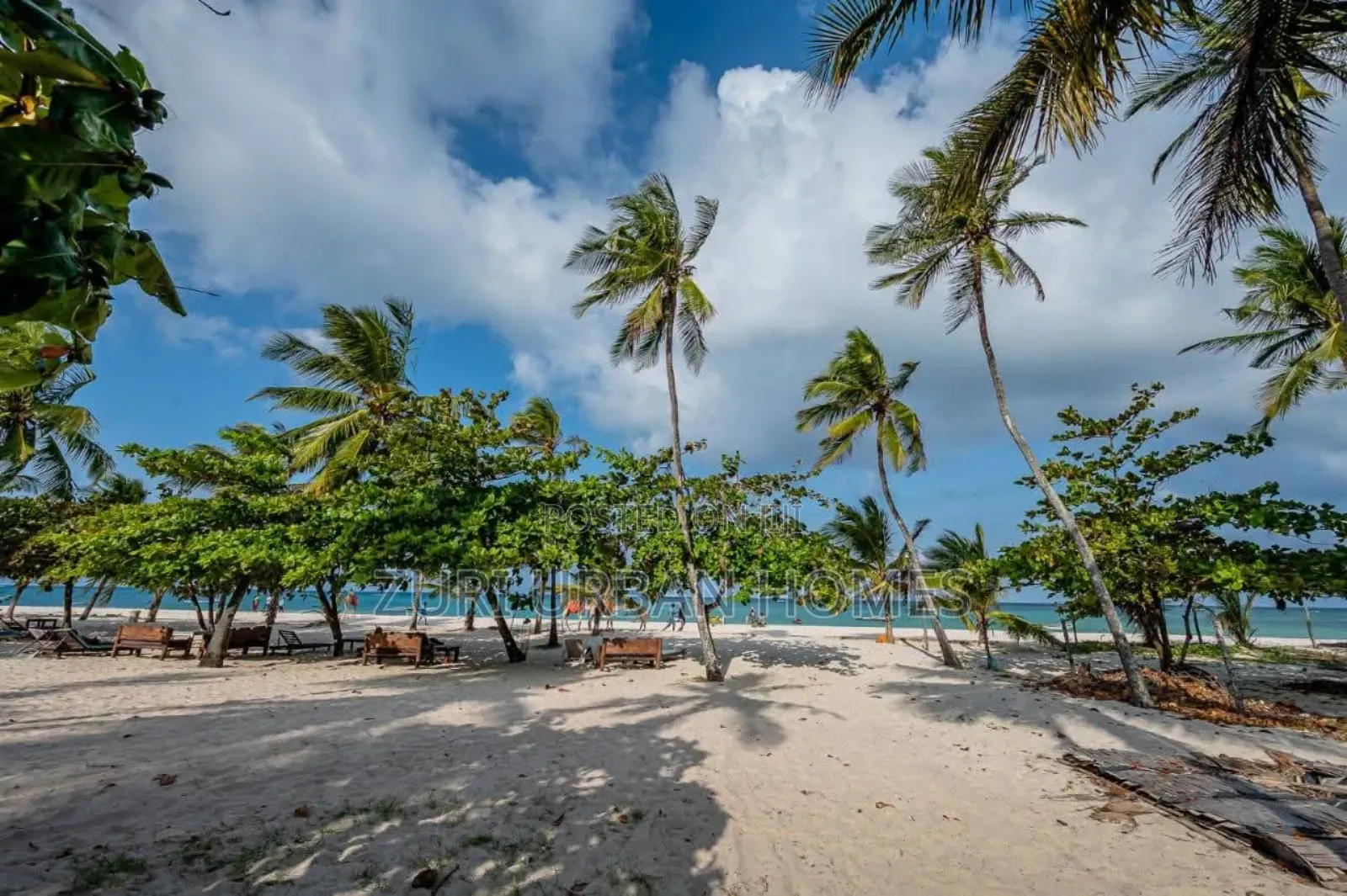 Beachfront Studio Airbnb Diani Beach