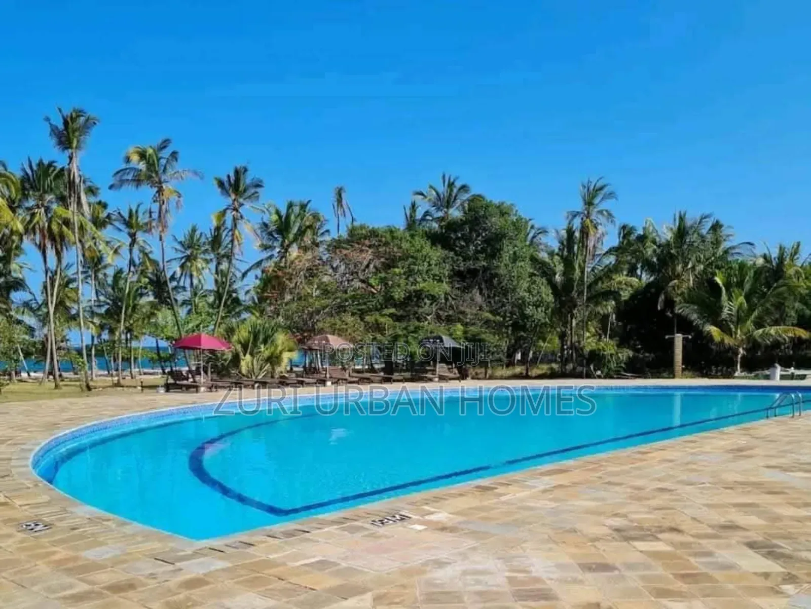 Beachfront Studio Airbnb Diani Beach