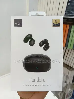 Wiwu T17 Pandoratws Wireless Bluetooth Earphone(Black)