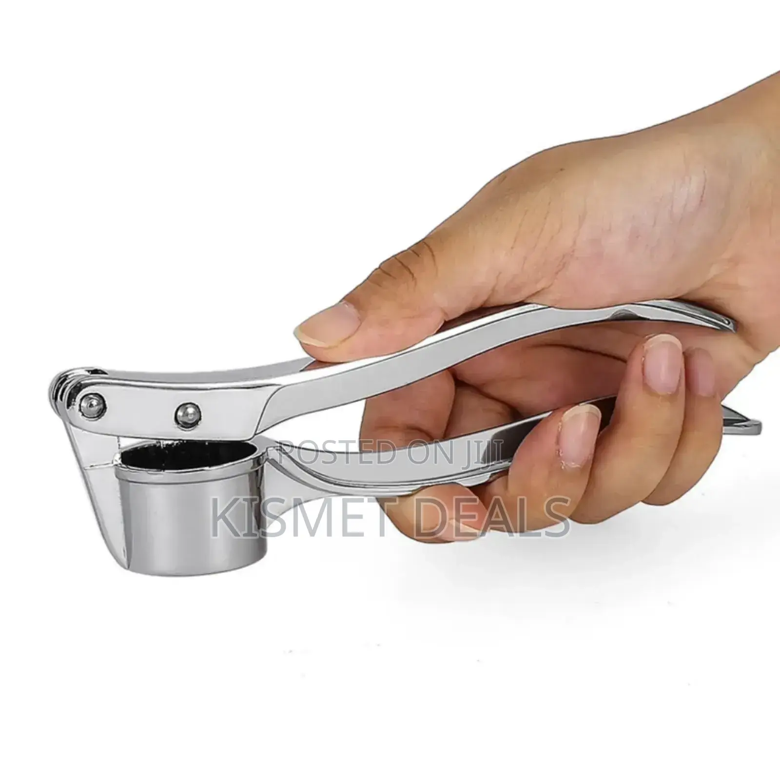 Steel Garlic Ginger Press