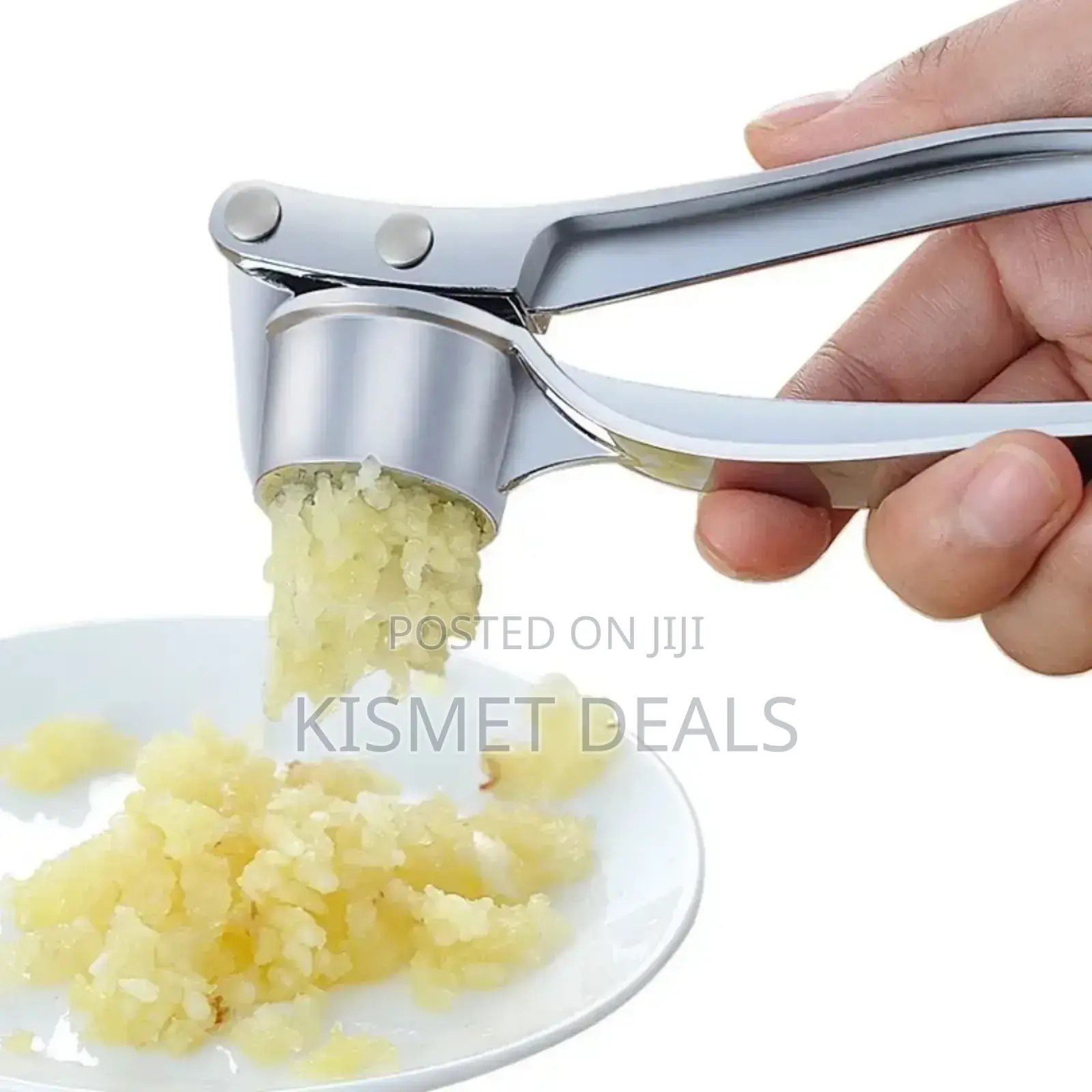 Steel Garlic Ginger Press