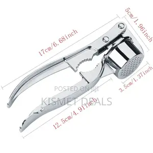 Steel Garlic Ginger Press