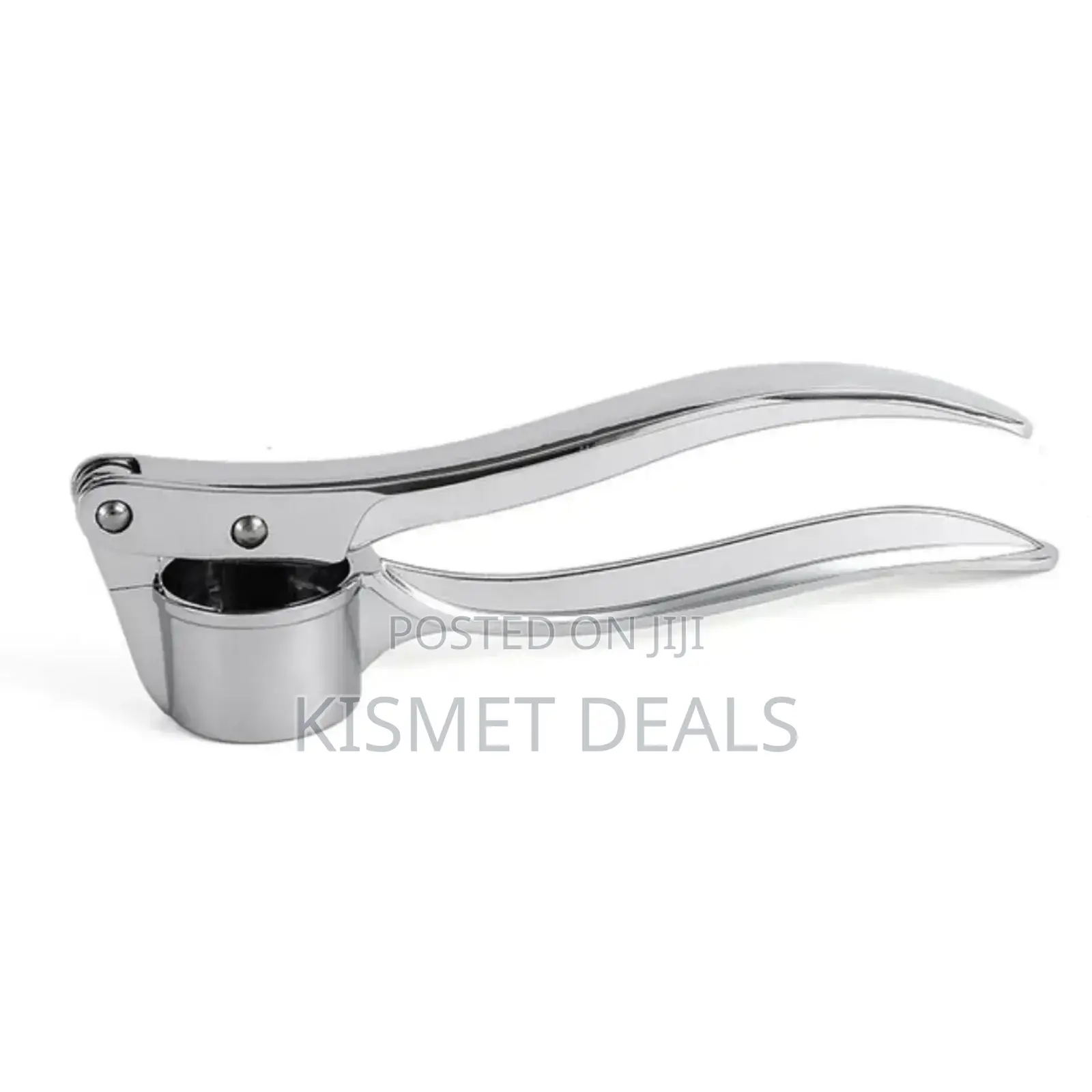 Steel Garlic Ginger Press