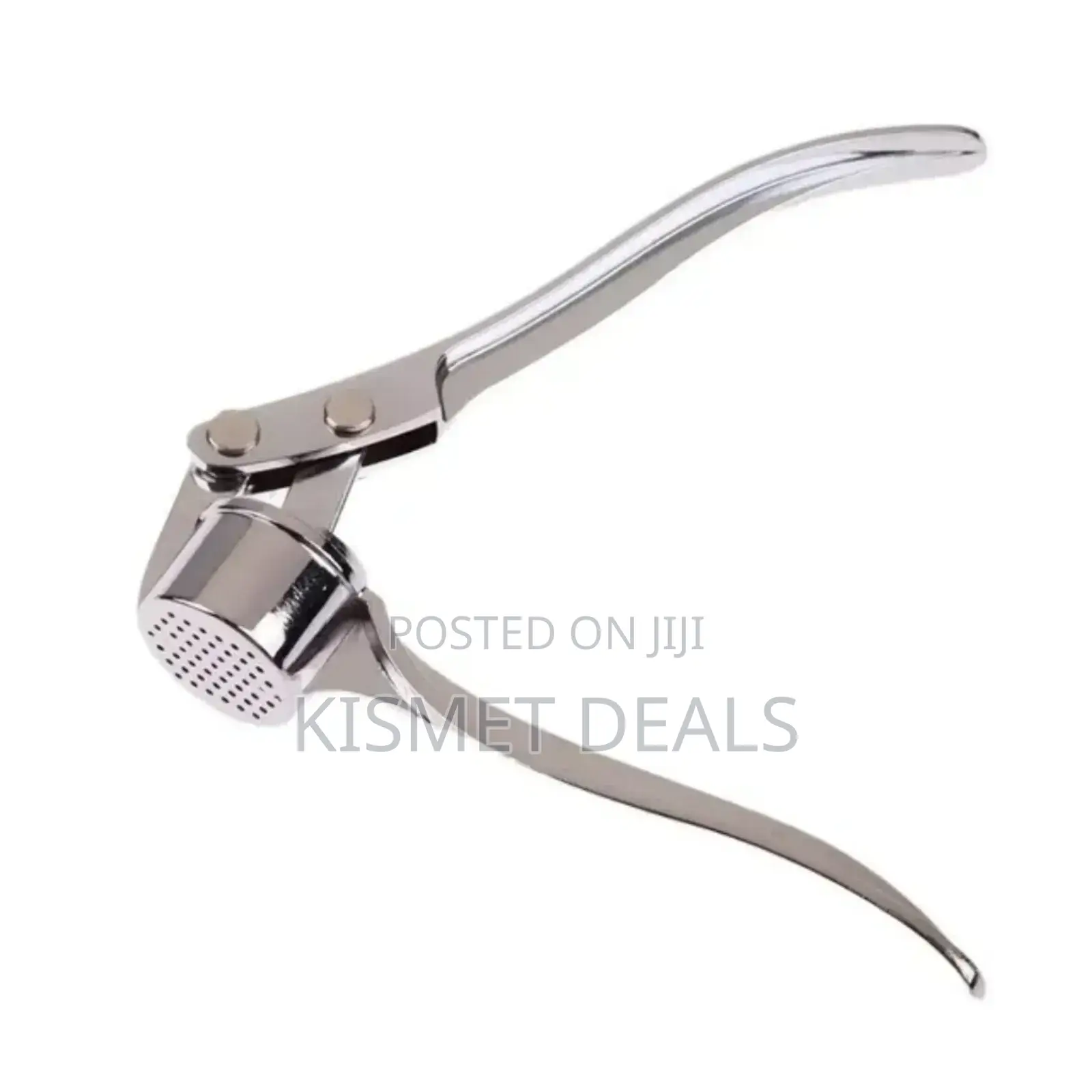 Steel Garlic Ginger Press