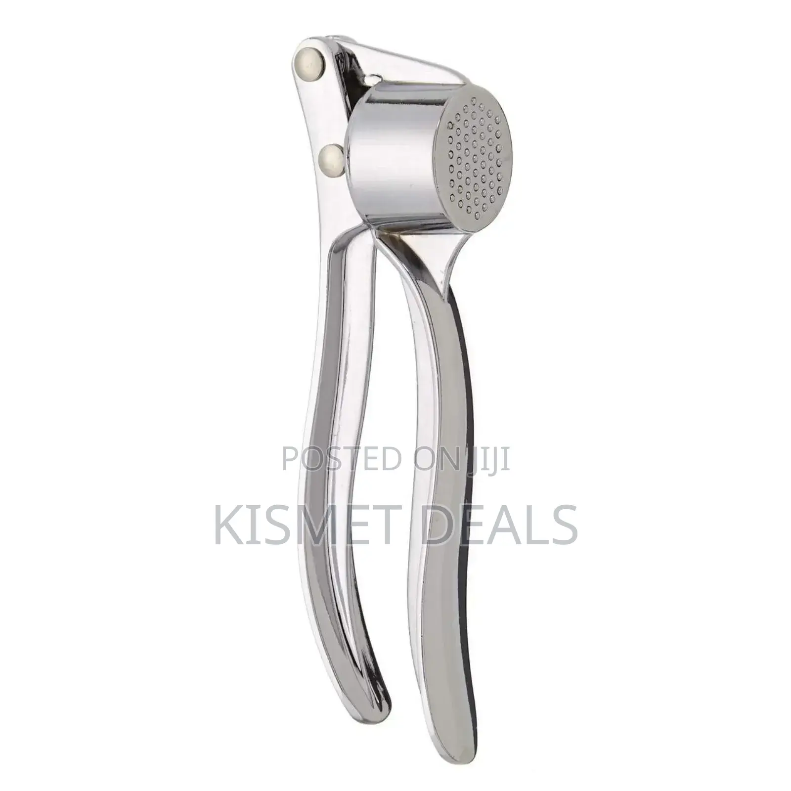 Steel Garlic Ginger Press