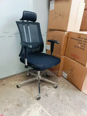 Imported Orthopaedic Office Chair