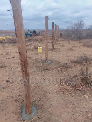 Four Acres of Land