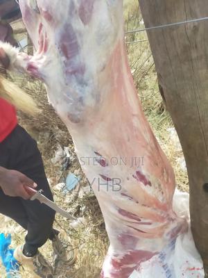 Goat Meat in Orsale