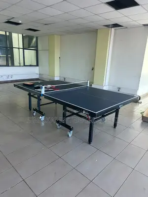 25mm Table Tennis Table Size (2740*1525*760)Mm