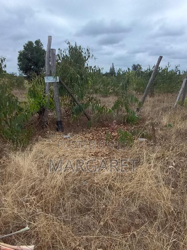 Juja Prime Land 50 X 100