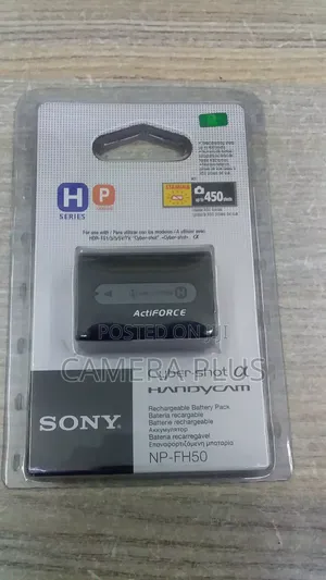 Sony Cybershot Plus Handycam Video Camera Battery Np-Fh50