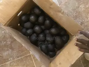 Ripe Hass Avocados