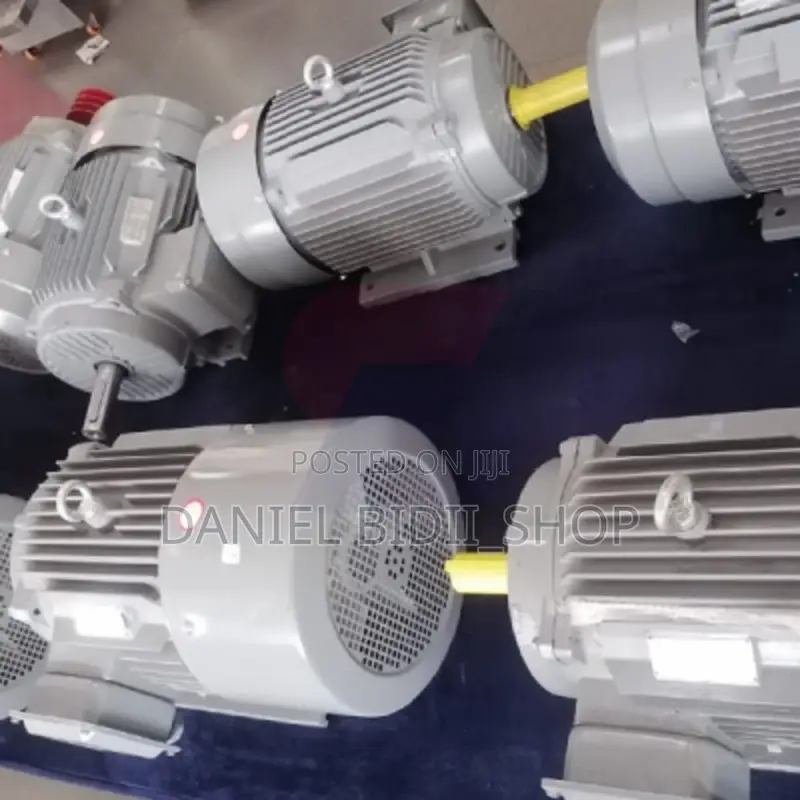 Stcl Italy Brand Three Phase Electric Motor 15 Hp Low Speed