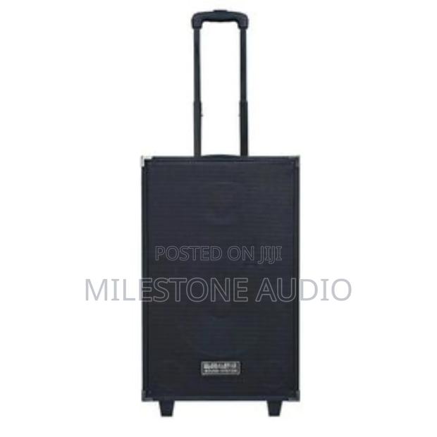 Globalstar L1202 12-Inch Rechargeable Outdoor Bluetooth Speaker With