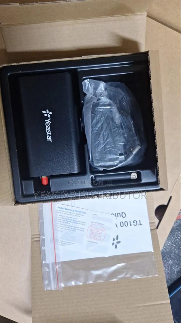 Yeastar Gateway Tg 100 - main view