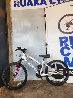 24-Inch Ex Uk Muddyfox Bicycle
