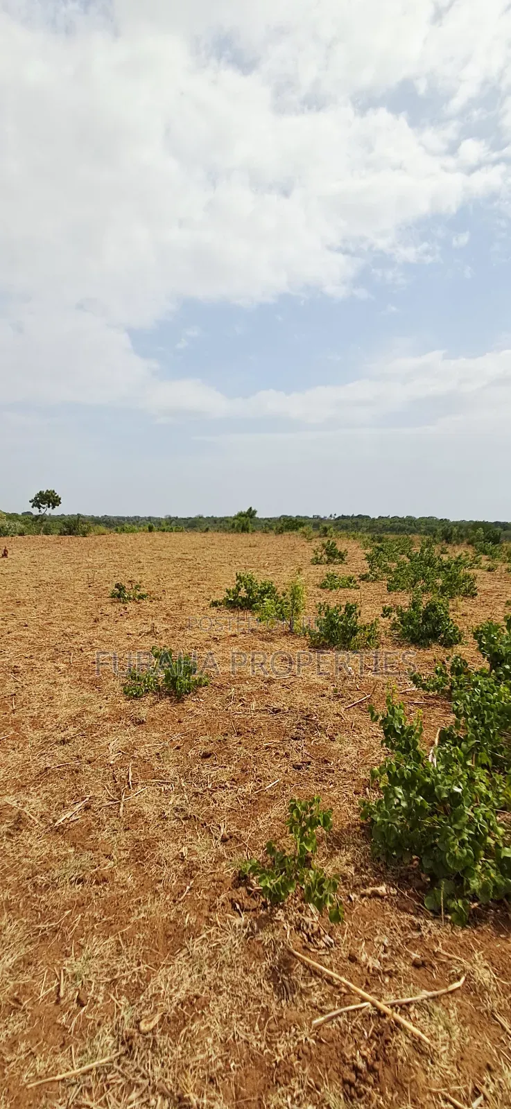For Sale 13 Acres Land Kilifi