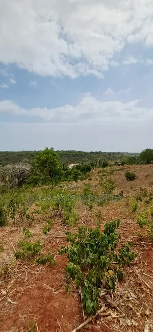 For Sale 13 Acres Land Kilifi