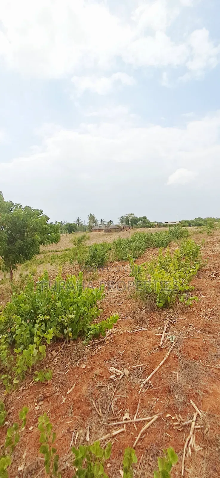 For Sale 13 Acres Land Kilifi