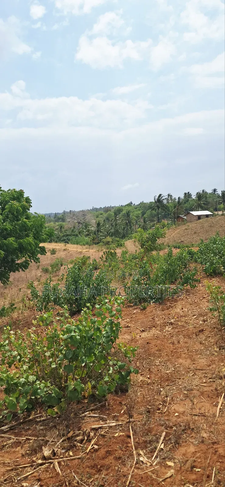 For Sale 13 Acres Land Kilifi