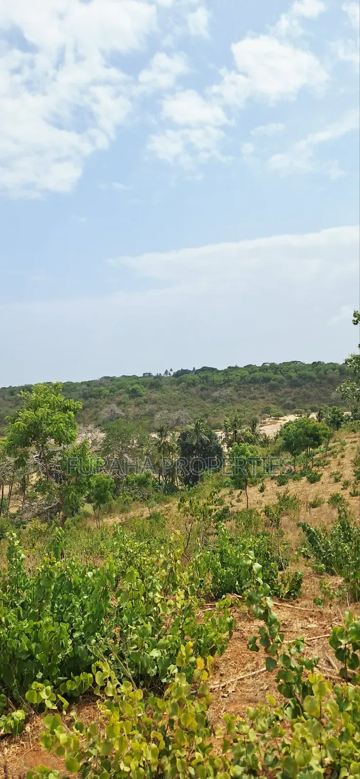 For Sale 13 Acres Land Kilifi