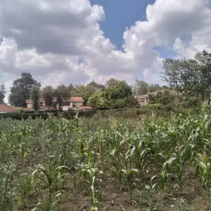 Prime 11⁄4-Acre Plot Along Marist Lane