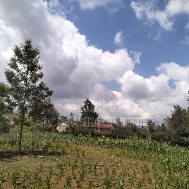 Prime 11⁄4-Acre Plot Along Marist Lane - thumbnail 4