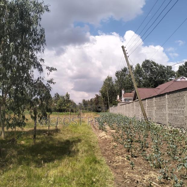 Prime 11⁄4-Acre Plot Along Marist Lane - thumbnail 5