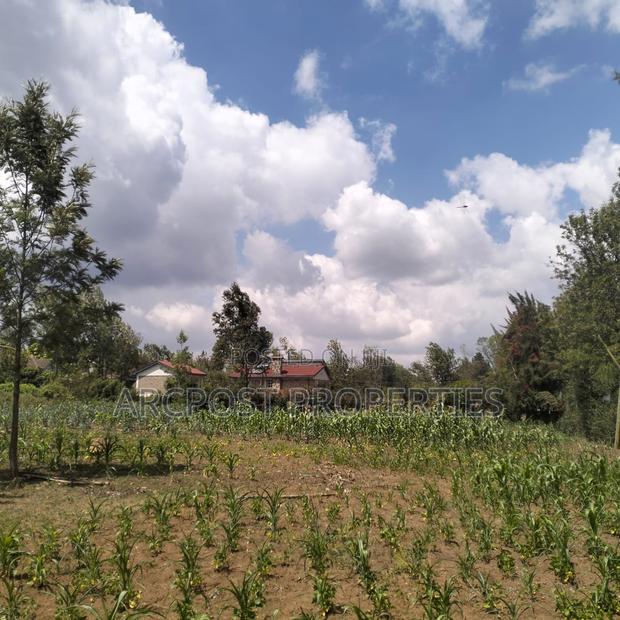 Prime 11⁄4-Acre Plot Along Marist Lane - thumbnail 6