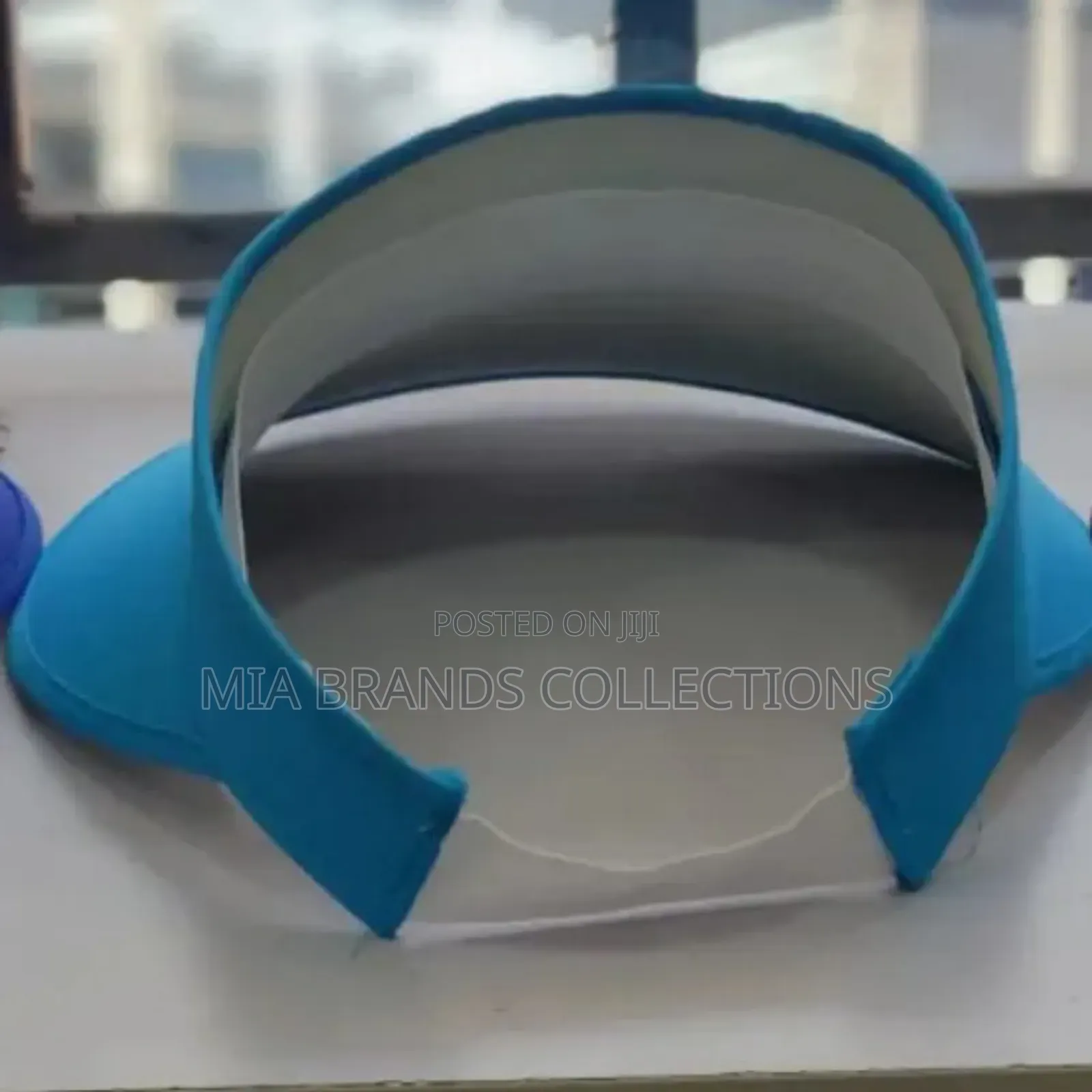 Sun Visors